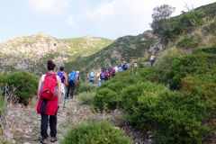 Bova_Monte-Grosso_set_2018_005