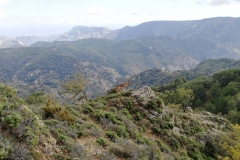 da Ghorio a Pesdavoli