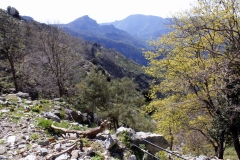 Monte Perre -  Croce di Dio sia lodato