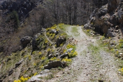 Monte Perre -  Croce di Dio sia lodato