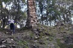 Pietra Castello