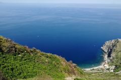 Tracciolino