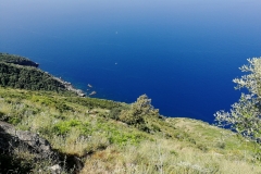Tracciolino