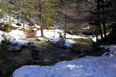 Torrente Menta