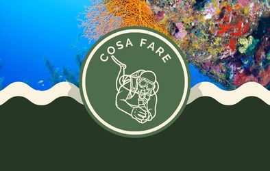 Cosa fare